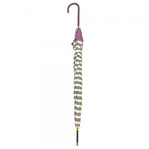 OVIDA 23 Inch 8 Arbs Stick Umbrella ifite amabara atandukanye ifite imiterere yihariye