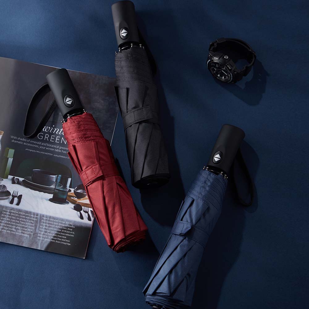 Bottom price Pet Dog Umbrella - Full automatic open high quality 3 fold umbrella – DongFangZhanXin detail pictures