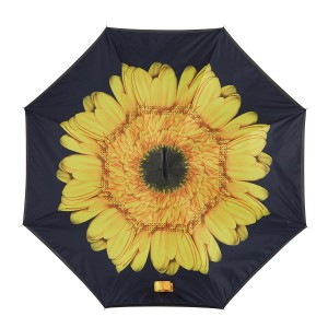 I-Umbrella Ebuyela Umva Yesandla Esivulekileyo se-C Hook
