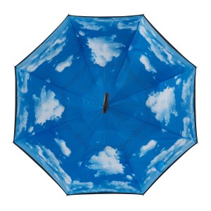 I-Umbrella Ebuyela Umva Yesandla Esivulekileyo se-C Hook
