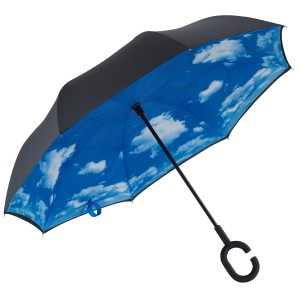 I-Umbrella Ebuyela Umva Yesandla Esivulekileyo se-C Hook