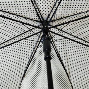 Umbrella nke ụmụnwaanyị OVIDA nke anwụ na mmiri ozuzo. Nhazi pụrụ iche mara mma ma mara mma.
