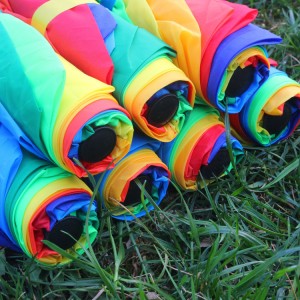 Rainbow umbrella (4)