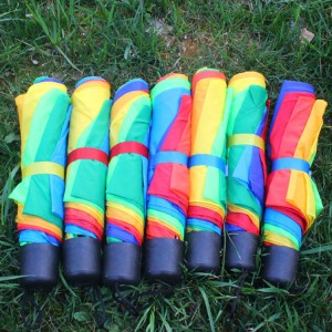 Rainbow umbrella (5)