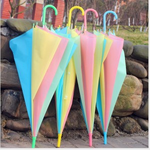 Rainbow umbrella (6)