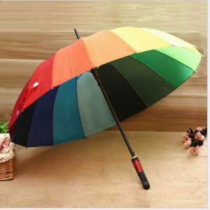 Rainbow umbrella (9)